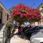 majówka z jogą na Korfu